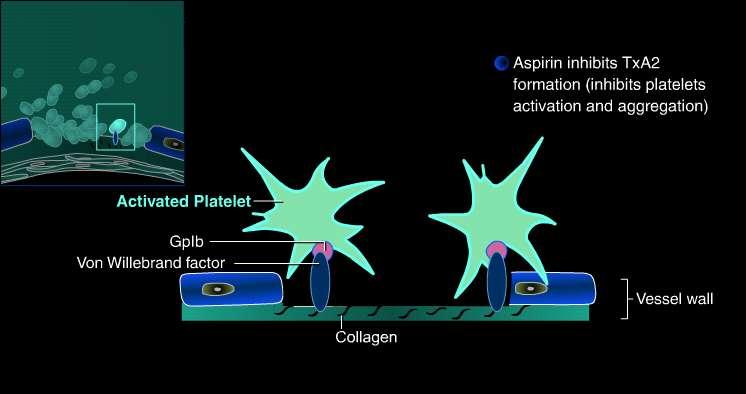 Aspirin Chen ZM, et al.