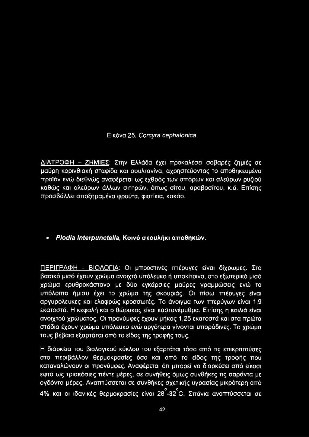 σπόρων και αλεύρων ρυζιού καθώς και αλεύρων άλλων σιτηρών, όπως σίτου, αραβοσίτου, κ.ά. Επίσης προσβάλλει αποξηραμένα φρούτα, φιστίκια, κακάο. ΡΙοόίβ ίηίβγρυηοίβιΐβ, Κοινό σκουλήκι αποθηκών.