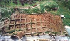 ια από τον 14ο έως τον 11ο αι. π.χ. Στα Πηγάδια, εκτός του μυκηναϊκού οικισμού, εντοπίστηκε για πρώτη φορά τμήμα οικισμού των ρωμαϊκών χρόνων στα οικόπεδα Χαροκόπου και Πελεγρίνη (εικ.