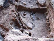 πασσαλότρυπες με καμένα τμήματα πασσάλων, καθώς επίσης ξύλινα και πήλινα στοιχεία της ανωδομής (εικ. 4-5). Η πρωιμότερη φάση κατοίκησης τοποθετείται στη Νεότερη Νεολιθική ΙΙ.