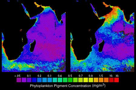 sian (Indian) monsoon effects of pelling on biomass Spring (NE monsoon) September (SW monsoon) Ocean color: high