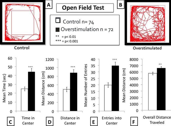Figure 3: 3A & 3B demonstrate an illustrative example of a control and an overstimulated mouse's travel pathway on the Open Field Test.