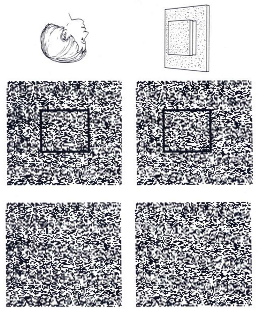 ΔΟΚΙΜΑΣΙΕΣ ΣΤΕΡΕΟΨΗΣ Random-dot stereogram Παρουσιάστηκε το 1960 από τον Dr. Bela Julesz. Μονόφθαλμα δεν υπάρχει καμία οπτική πληροφορία.