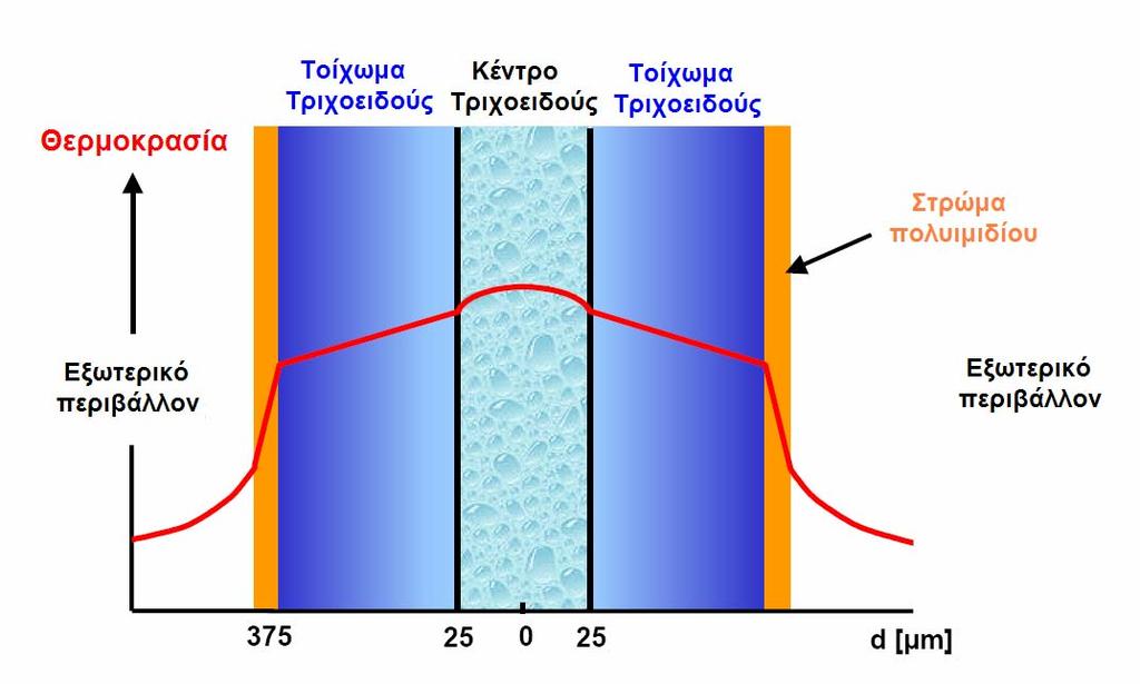 Τριχοειδής Ηλεκτροφόρηση συμπεριλαμβάνεται η βαθμιαία αύξηση της θερμοκρασίας που προκαλείται από τη θερμότητα Joule, ο όγκος του εγχυόμενου δείγματος και οι αλληλεπιδράσεις που αναπτύσσονται μεταξύ