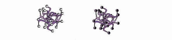 Είδη διαχωρισμού στην Τριχοειδή Ηλεκτροφόρηση Σχήμα 2.3. Σχηματική απεικόνιση ανιονικών και κατιονικών μικυλλίων.