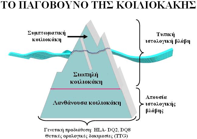 εμφανίζει τα τυπικά συμπτώματα της νόσου [10],[11],[12].