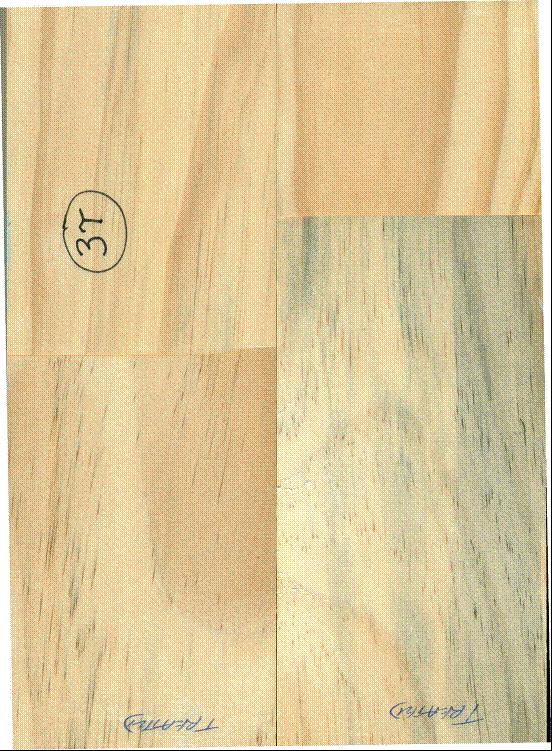 3T. RADIATA PINE (TREATED with