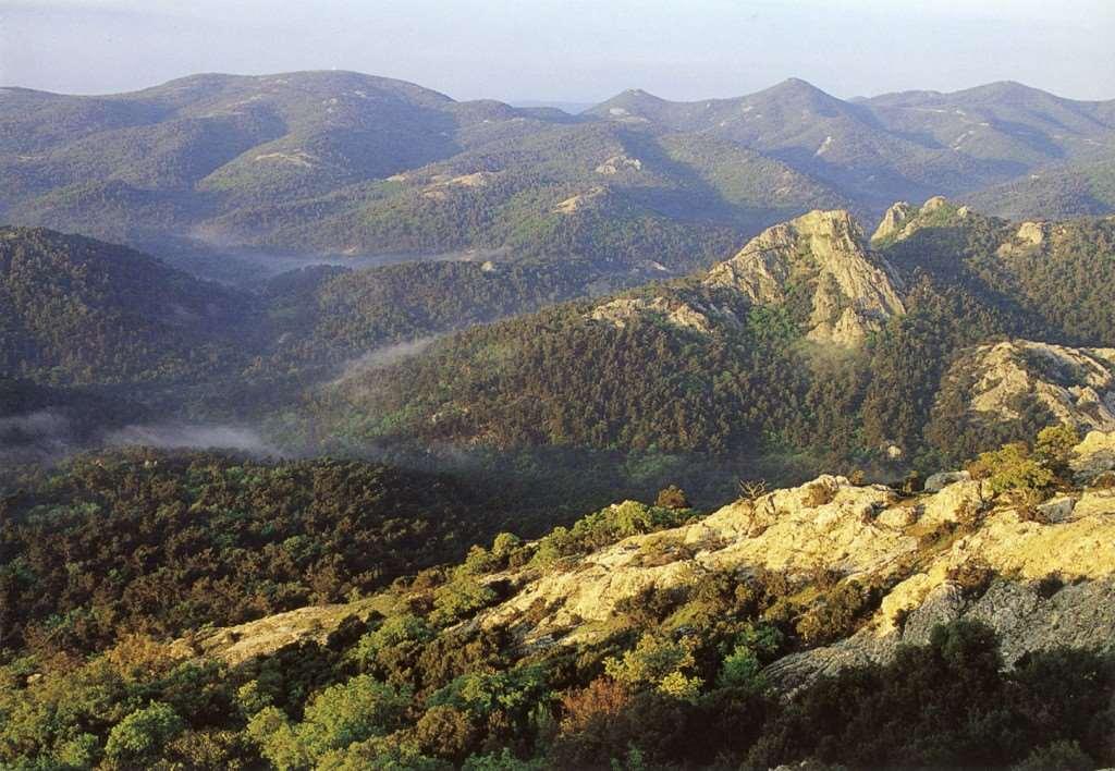 Δάσος Δαδιάς Κορυφαία περιοχή για τα αρπακτικά της Ευρώπης.