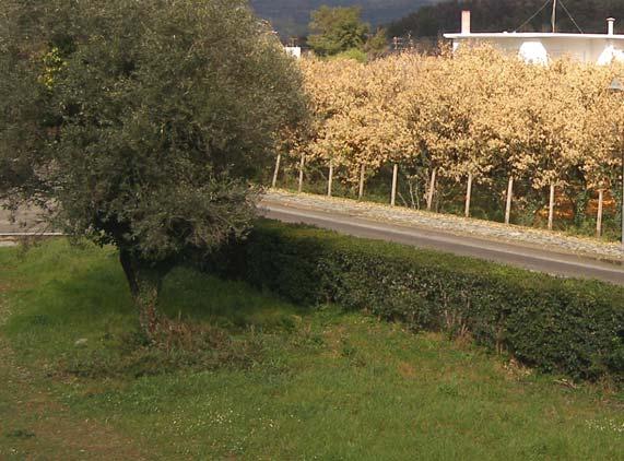 ΚΤΟΝΩΝ ΜΗΧΑΝΙΚΩΝ ΥΠΟΥΡΓΕΙΟ ΤΟΥΡΙΣΤΙΚΗΣ ΑΝΑΠΤΥΞΗΣ- Ε.Ο.Τ. Δ Η Μ Ο Σ Α Ρ