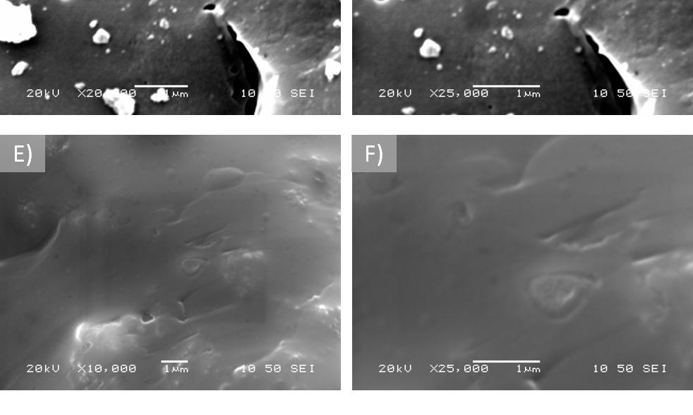 Οι μικρογραφίες ηλεκτρονικής μικροσκοπίας σάρωσης (SEM) που παρατίθενται στις εικόνες III.