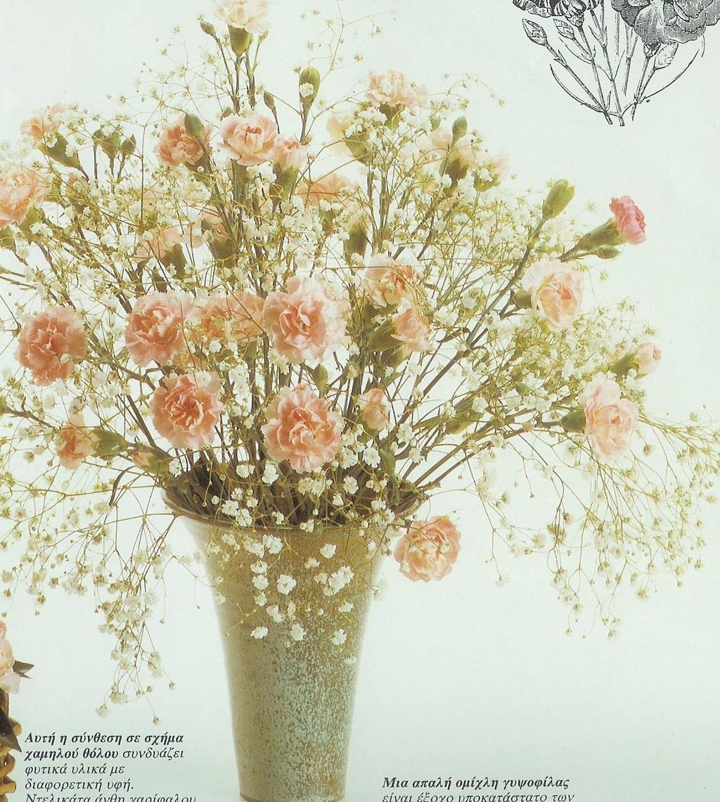 Εικόνα 101: Προτάσεις με ανθοδέσμη με γυψοφίλη (Gypsophila paniculata) και γαρύφαλλα Πρόταση με αρωματικά μπουκέτα Υπάρχει ένα πλήθος ανοιξιάτικα λουλούδια με γλυκό άρωμα που μπορείτε να τα
