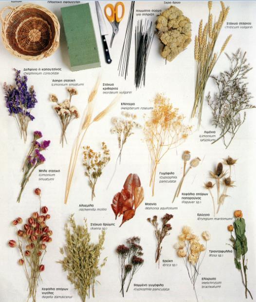Πρόταση σύνθεσης αποξηραμένων λουλουδιών σε καλάθι Παρακάτω αναφέρονται αναλυτικά όλα τα απαιτούμενα υλικά για σύνθεση λουλουδιών σε καλάθι.