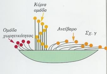 Ομάδες Οι ομάδες των λουλουδιών σε μια σύνθεση, αποτελούνται από την κύρια ομάδα, την ομάδα χωρητικότητας και το αντίβαρο.