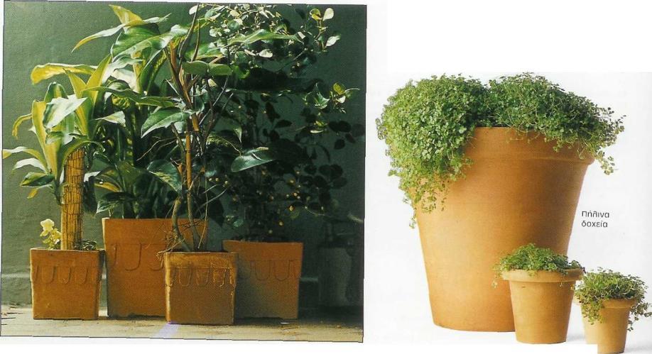 Εικόνα 18: Ταίριασμα φυτών σε διάφορα δοχεία Μερικά δοχεία είναι πολύ ακριβά να αγοραστούν, ειδικά όταν θα πρέπει να χρησιμοποιηθούν πολλά απ' αυτά.