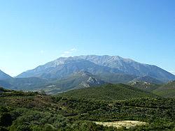 6. ΕΘΝΙΚΟΣ ΔΡΥΜΟΣ ΠΑΡΝΑΣΣΟΥ Ο Παρνασσός είναι βουνό της Στερεάς Ελλάδας, που εκτείνεται στους νομούς Βοιωτίας, Φθιώτιδας και