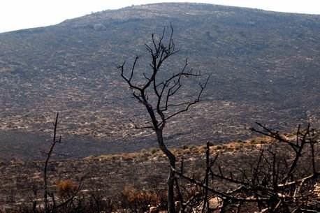 ΦΥΣΙΚΟΙ ΚΙΝΔΥΝΟΙ Ένας φυσικός κίνδυνος είναι μία κατάσταση που έχει τη δυνατότητα να