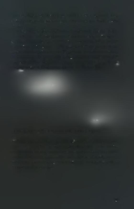 Υποθέτοντας ότι η πρώτη διαφοροποίηση (divergence) του γένους σε διαφορετικές γνωμικές ομάδες έλαβε χώρα πριν ή κατά την διάρκεια διαχωρισμού των ηπείρων κατά την Κρητιδική περίοδο (Cretaceous