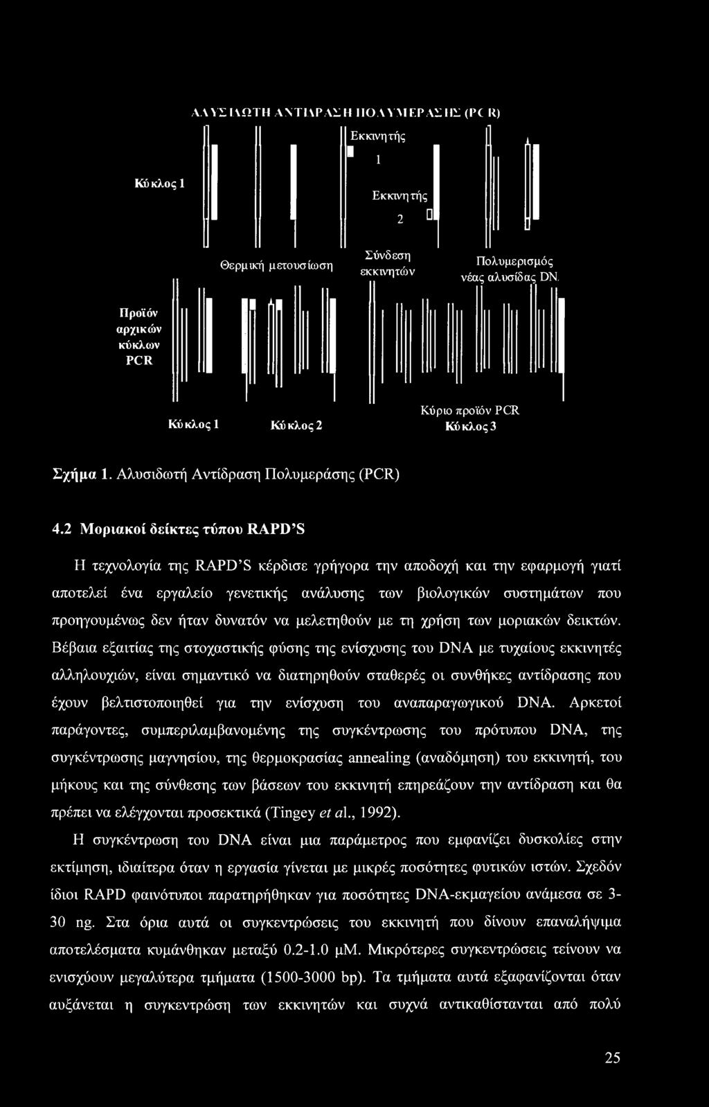 2 Μοριακοί δείκτες τύπου RAPD S Η τεχνολογία της RAPD S κέρδισε γρήγορα την αποδοχή και την εφαρμογή γιατί αποτελεί ένα εργαλείο γενετικής ανάλυσης των βιολογικών συστημάτων που προηγουμένως δεν ήταν