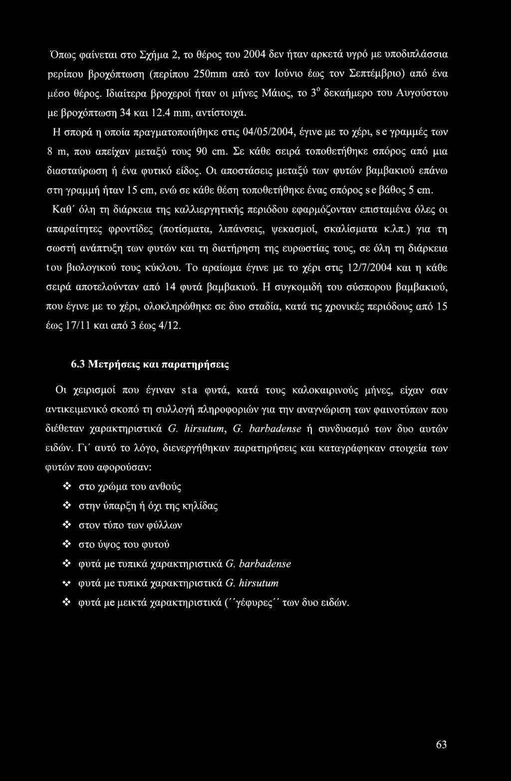 Η σπορά η οποία πραγματοποιήθηκε στις 04/05/2004, έγινε με το χέρι, se γραμμές των 8 m, που απείχαν μεταξύ τους 90 cm. Σε κάθε σειρά τοποθετήθηκε σπόρος από μια διασταύρωση ή ένα φυτικό είδος.