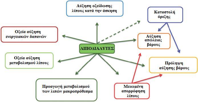 2. ΛΙΠΟΔΙΑΛΥΤΕΣ 2.1.