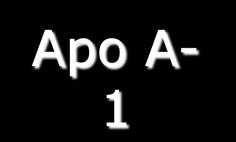 lipase) Apo A- 1