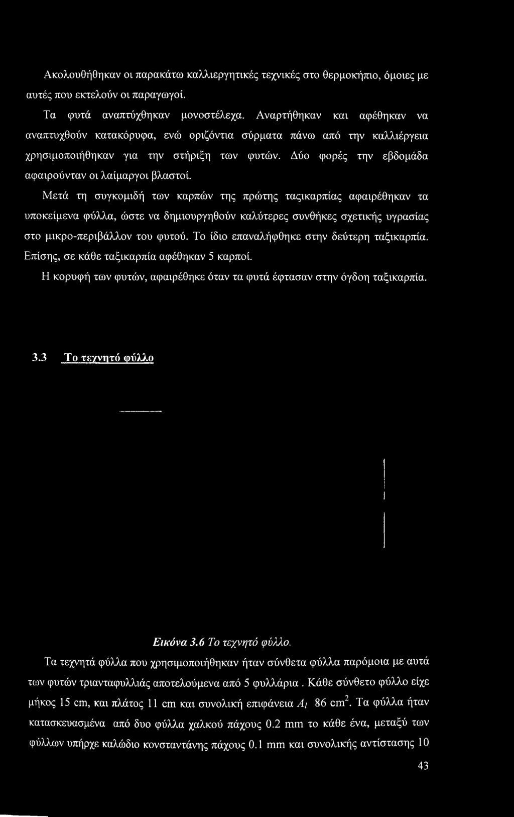 Το ίδιο επαναλήφθηκε στην δεύτερη ταξικαρπία. Επίσης, σε κάθε ταξικαρπία αφέθηκαν 5 καρποί. Η κορυφή των φυτών, αφαιρέθηκε όταν τα φυτά έφτασαν στην όγδοη ταξικαρπία. 3.