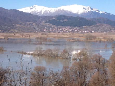 Βαθυτόπου, που αποστραγγίζει την περιοχή Βαθυτόπου Καταφύτου και ο χείμαρρος Βροντούς που αποστραγγίζει την ομώνυμη περιοχή.