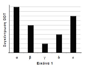 Γ5. Να μεταφέρετε στο γραπτό σας τη σωστή αντιστοιχία μεταξύ των οργανισμών της τροφικής αλυσίδας και των γραμμάτων α, β, γ, δ, ε της Εικόνας 1 αιτιολογώντας την απάντησή σας (μονάδες 6).