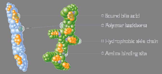 Colesevelam, a unique bile acid sequestrant Colesevelam provides a better affinity, specificity, and sequestration of bile acids than