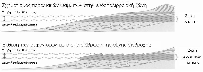 Χερσαία (α) και υποθαλάσσια (β) εμφάνιση των παραλιακών ψαμμιτών στην περιοχή μελέτης (Πηγή Μ. Βουσδούκας).