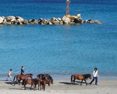 στα Πράμαντα! 1η μέρα: Αθήνα - Άρτα - Άγναντα - Πράμαντα Επίσκεψη στο θρυλικό γεφύρι και ανάβαση μέσω Πλάκας και Αγνάντων μέχρι τον οικισμό Τσόπελα στα Πράμαντα Ιωαννίνων.