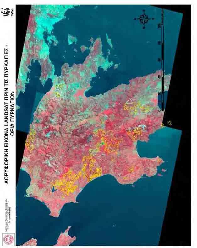 Εικόνα 3: Τα όρια των καμένων περιοχών (με κίτρινο)