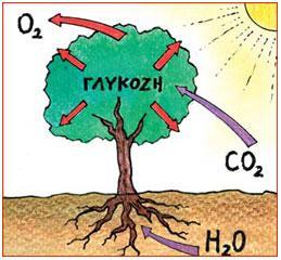 γλυκόζη 1.