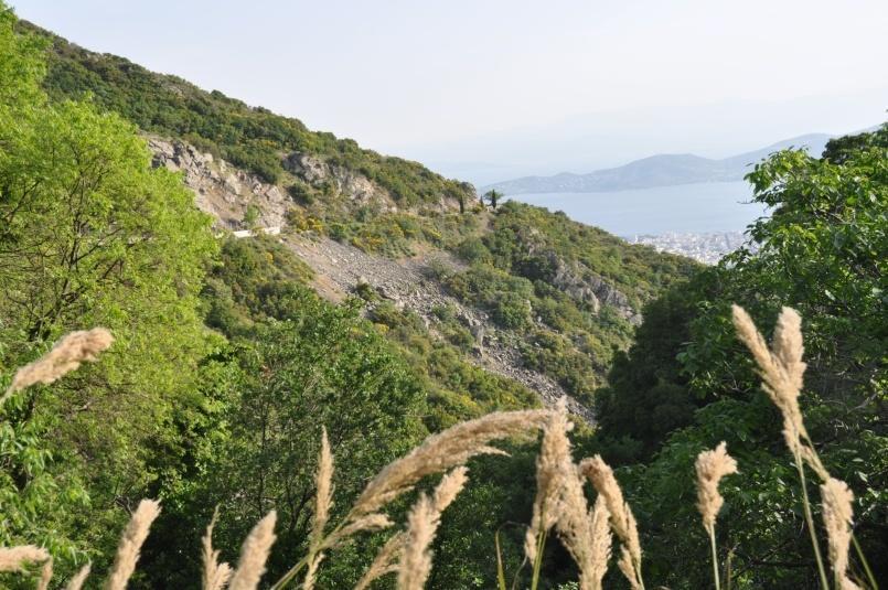 περιοχή Σταγιάτες Πιθανά οφείλονται σε ερπυσμούς αποσαθρωμένων