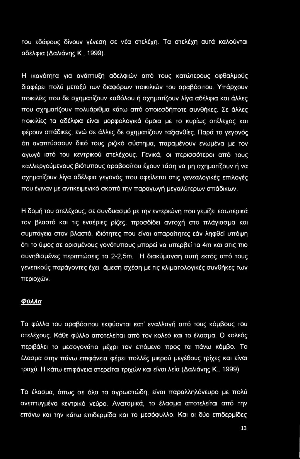 Υπάρχουν ποικιλίες που δε σχηματίζουν καθόλου ή σχηματίζουν λίγα αδέλφια και άλλες που σχηματίζουν πολυάριθμα κάτω από οποιεσδήποτε συνθήκες.