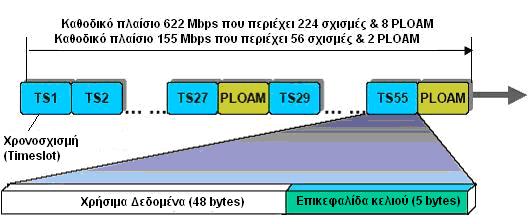 Σχήµα 17: Τα πλαίσια του ρεύµατος καθόδου σε ένα BPON δίκτυο [Πηγή: Council Europe] Όσον αφορά το ρεύµα ανόδου [7] το πλαίσιο περιέχει 53 χρονοσχισµές των 56 bytes (βλέπε σχήµα 18).