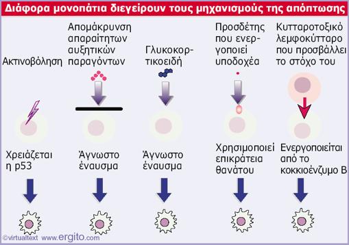 Ποιά σήματα