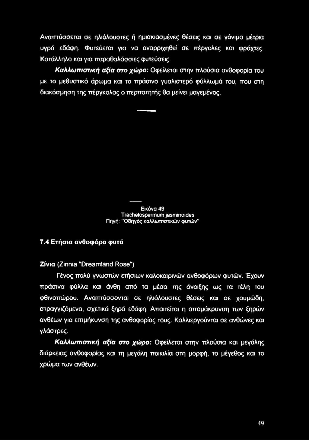 Καλλωπιστική αξία στο χώρο: Οφείλεται στην πλούσια ανθοφορία του με το μεθυστικό άρωμα και το πράσινο γυαλιστερό φύλλωμά του, που στη διακόσμηση της πέργκολας ο