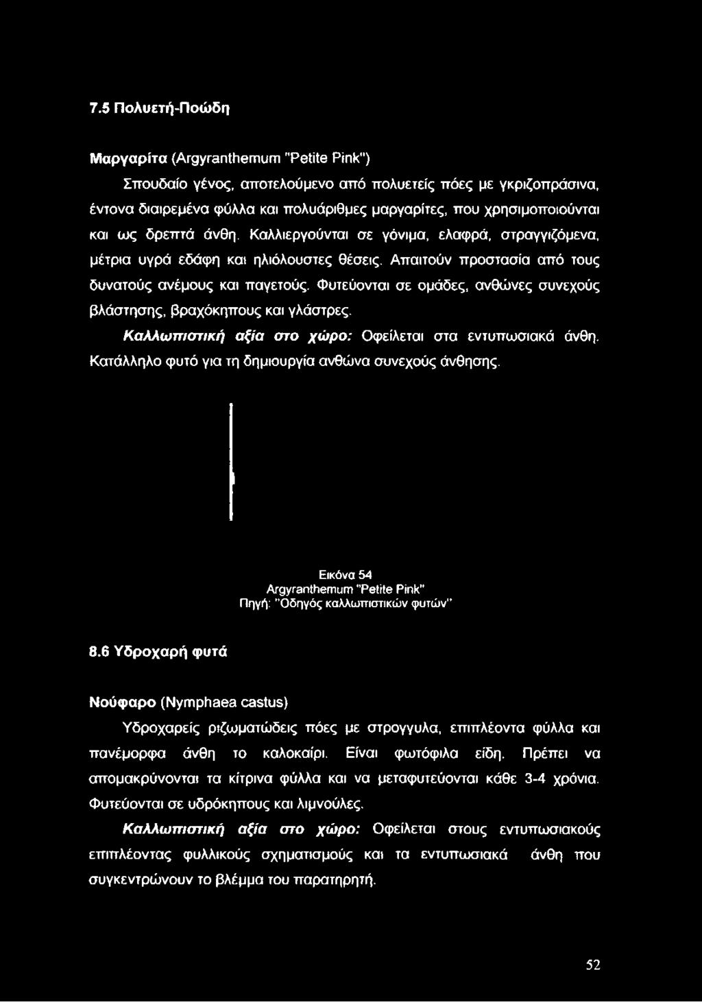 Απαιτούν προστασία από τους δυνατούς ανέμους και παγετούς. Φυτεύονται σε ομάδες, ανθώνες συνεχούς βλάστησης, βραχόκηπους και γλάστρες.