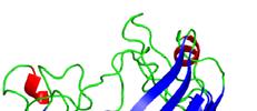 porin zunanje bakterijske membrane trioza-fosfat izomeraza β OBRAT povezuje