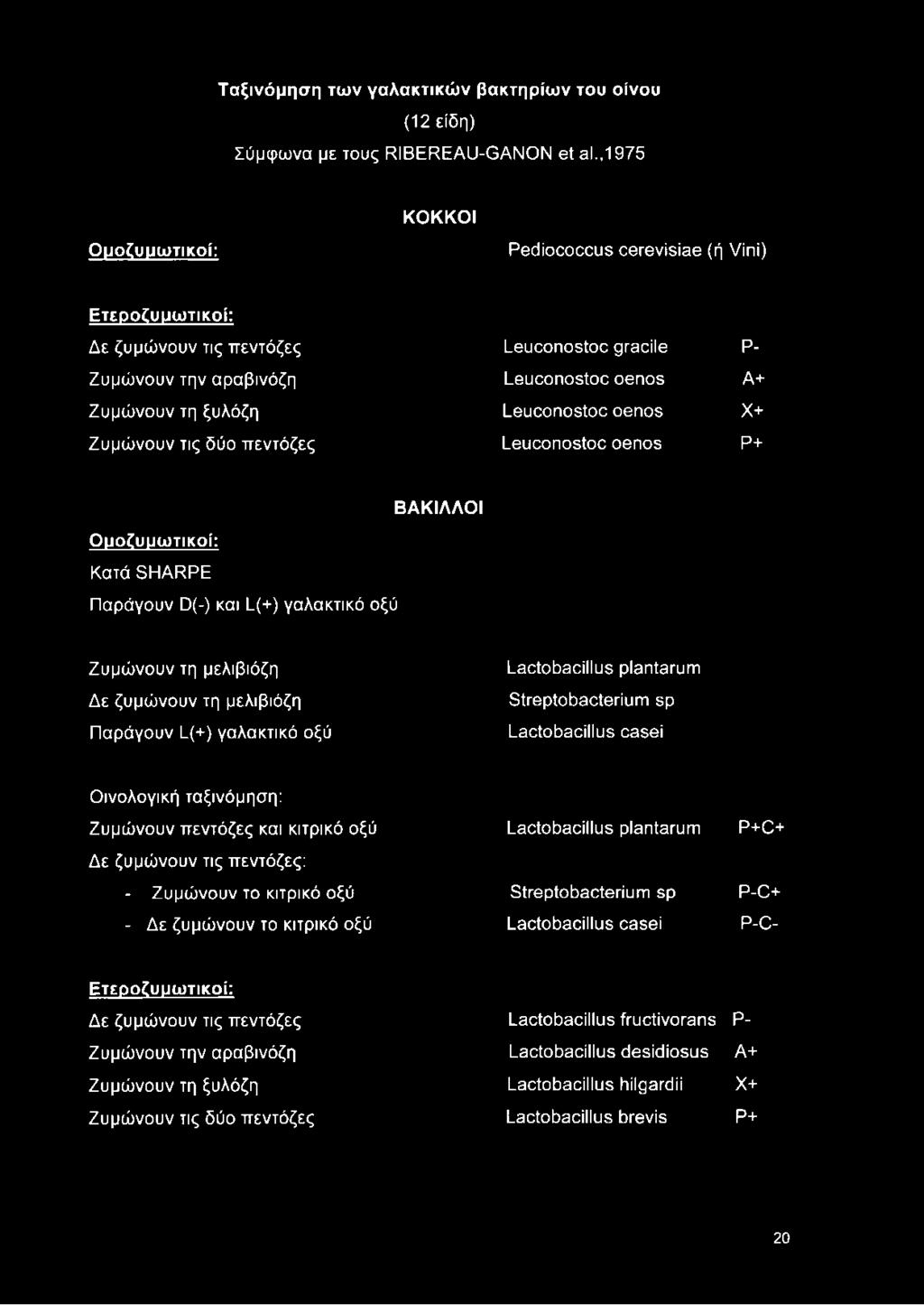 oenos X+ Ζυμώνουν τις δύο πεντόζες Leuconostoc oenos P+ ΒΑΚΙΛΛΟΙ Ουοζυυωτικοί: Κατά SHARPE Παράγουν D(-) και L(+) γαλακτικό οξύ Ζυμώνουν τη μελιβιόζη Δε ζυμώνουν τη μελιβιόζη Παράγουν ί(+) γαλακτικό