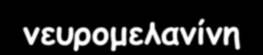 [Υπενθύμηση Στον άνθρωπο και τα πρωτεύοντα (primates) τα κύτταρα της μέλαινας ουσίας, όπου βρίσκονται τα σώματα των DA νευρώνων, περιέχουν μιά λιποπρωτείνη την νευρομελανίνη