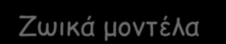 Ζωικά μοντέλα γιά την διερεύνηση των μηχανισμών της PD -Δημιουργούνται με καταστροφή του