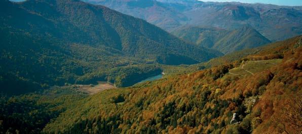 PUTOPISNA REPORTAŽA BIOGRADSKO JEZERO I BENDOVAC Da li nestaje Biogradsko jezero? Andrija Kasom Od tada u meni se vrti jedno te isto pitanje: Da li nestaje Biogradsko jezero?