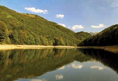 Nakon popijene kafe na terasi hotela Bianka Resort Spa u Kolašinu, na kojoj je jutarnja svježina štipkala ogoljele ruke i noge, uputili smo se na Biogradsko jezero.