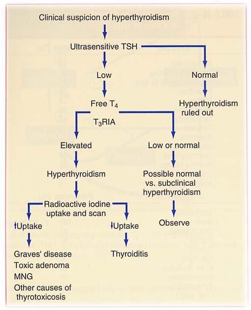 High TSH hypothyroidism