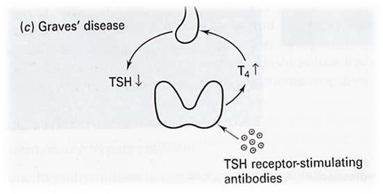 υπερθυρεοειδική κατάσταση TSH από την υπόφυση βρογχοκήλη ως