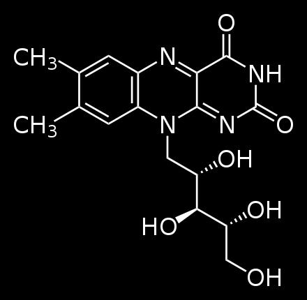 Οι βιταμίνες στα τρόφιμα Βιταμίνη B 2 (ριβοφλαβίνη) Συντίθεται μόνο από φυτά και μικροοργανισμούς, τα ανώτερα ζώα την προσλαμβάνουν μέσω της τροφής.