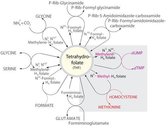 http://www.sigmaaldrich.