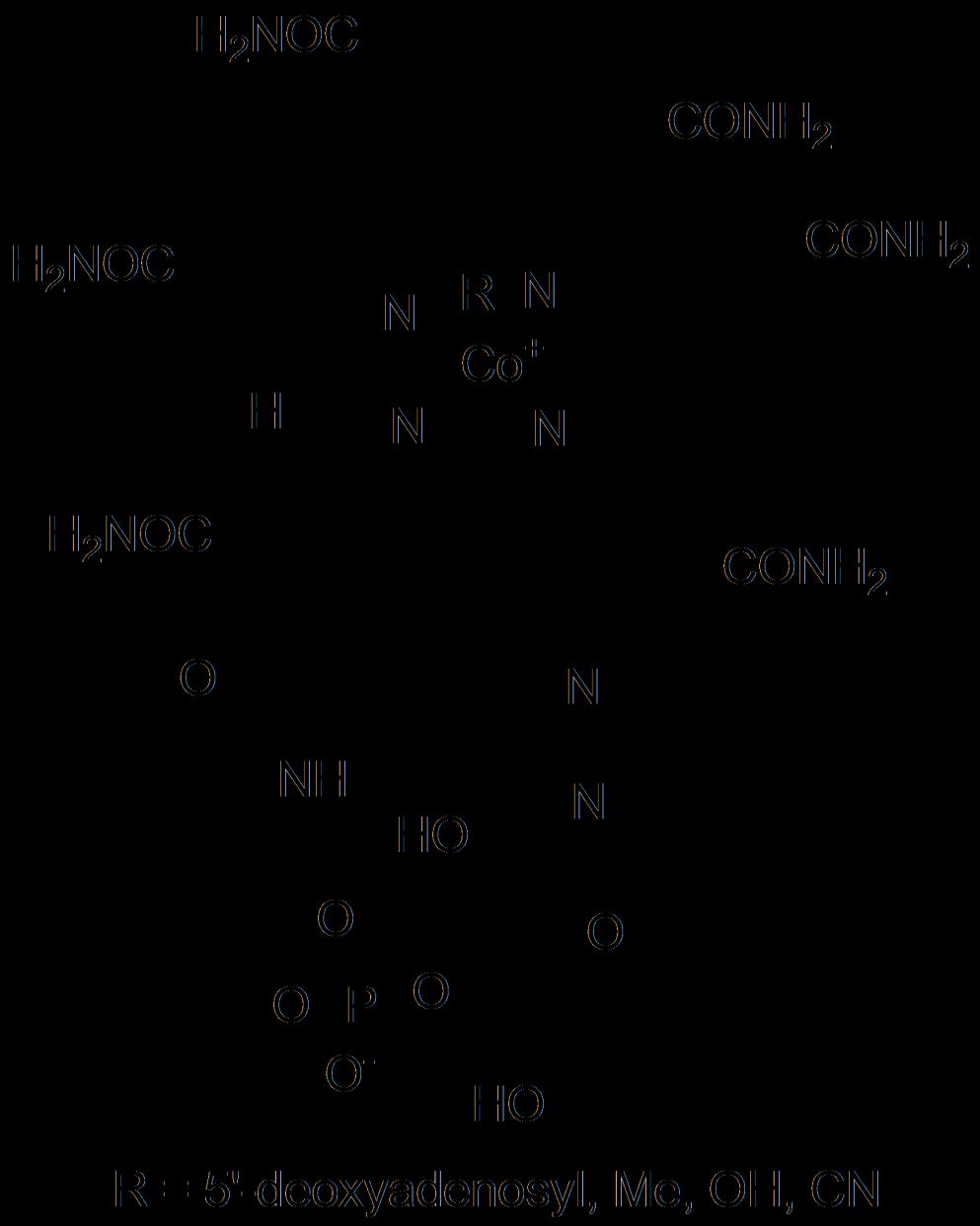 Οι βιταμίνες στα τρόφιμα Βιταμίνη B 12 (διάφορες κοβαλαμίνες: κυανοκοβαλαμίνες σε διατροφικά συμπληρώματα) Σχετίζεται με τη σύνθεση και